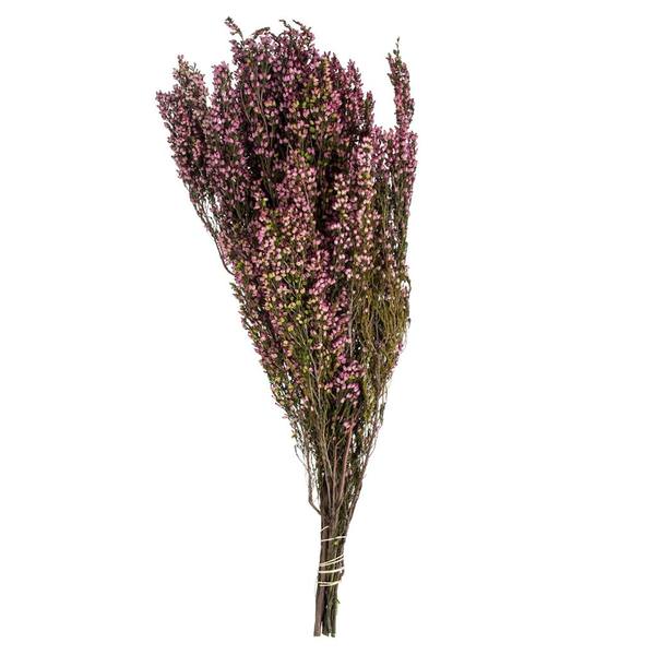 18"-20" 4-5oz Pink Preserved Heather Bundle