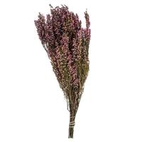 View 18"-20" 4-5oz Pink Preserved Heather Bundle