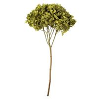 View 15" Antique Moss Preserved Hydrangea