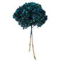 Vickerman 15" Blue Preserved Hydrangea