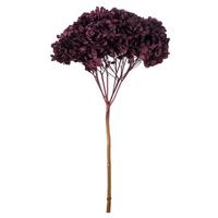 Vickerman 15" True Violet Preserved Hydrangea