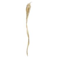Vickerman 36"-38" Dried Bleached Sea Kelp
