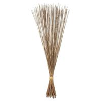 Vickerman 30" 10oz Natural Preserved Marsh Reed Bundle
