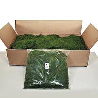 Vickerman 1.1lbs Green Preserved Sheet Moss