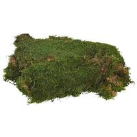 Vickerman 8oz Green Preserved Sheet Moss