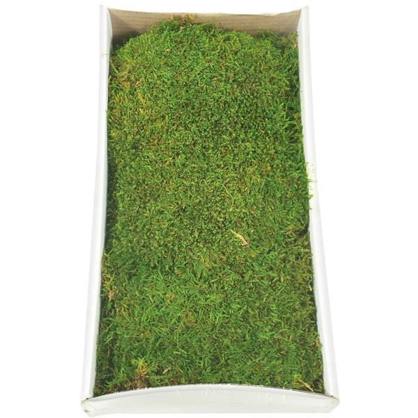 8oz Green Preserved Sheet Moss Tray
