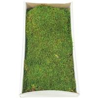 Vickerman 8oz Green Preserved Sheet Moss Tray
