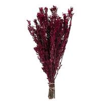 Vickerman 18"-20" 10oz Merlot Preserved Pubescens