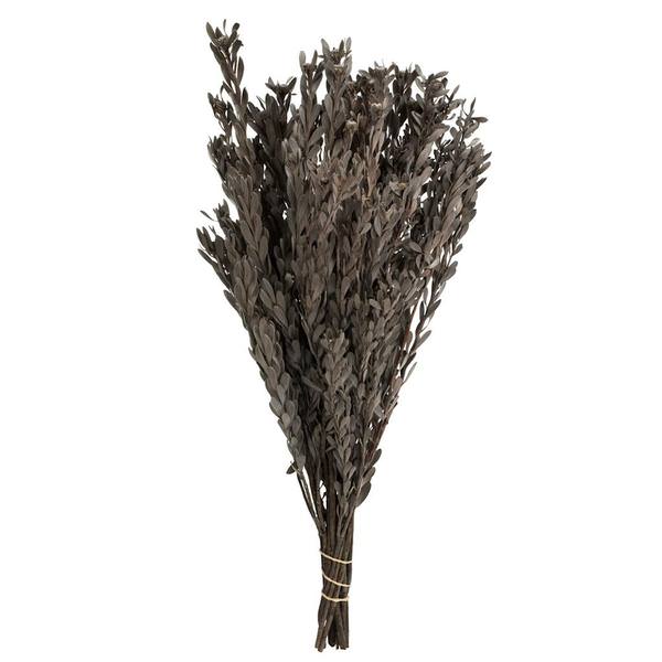 18"-20" 5oz Silver White Preserved Pubescens