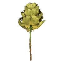 View 8" Basil Preserved Queen Flower