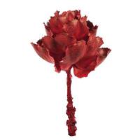 View 8" Red Preserved Queen Flower