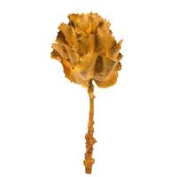 Vickerman 8" Aspen Gold Preserved Queen Flower