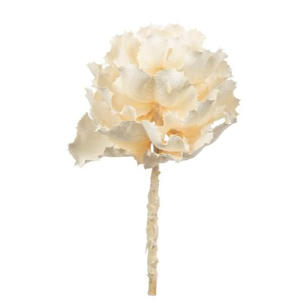 6"-7" Bleached Preserved Queen Flower