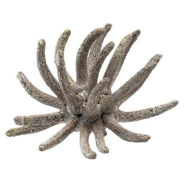 3"-4" Frosted White Preserved Spider Claws