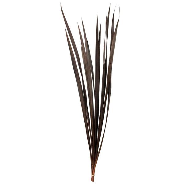 18"-30" Brown Dried Snake Stems Grass (12 stems)