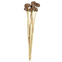 Vickerman 18"-24" Natural Preserved Spider Knobs on Reed Bundle (9 stems)