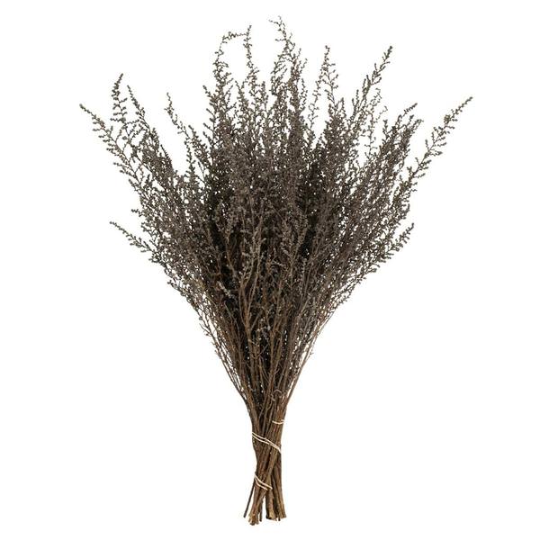 14"-18" Silver White Dried Stoebe