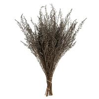 Vickerman 14"-18" Silver White Dried Stoebe