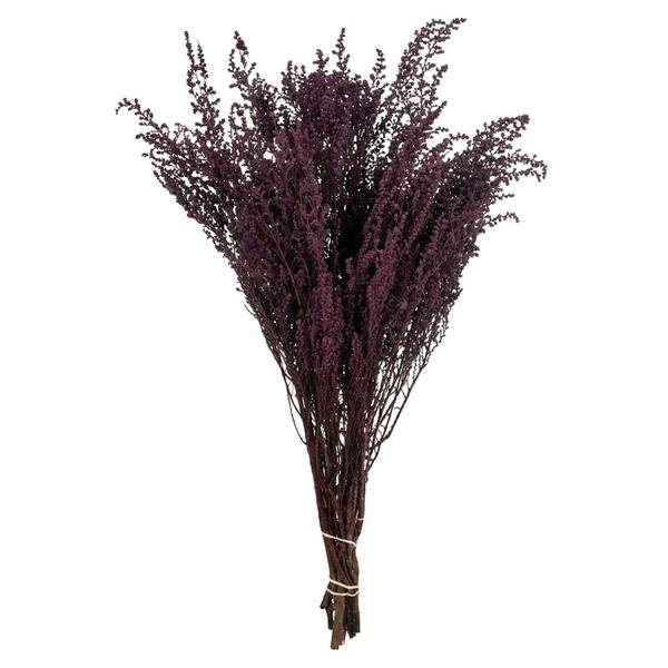 14"-18" 10oz Violet Dried Stoebe (2 pack)