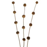 Vickerman 36"-40" Brown Preserved Thistle Stem (4 pack)