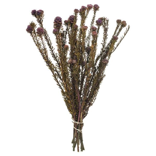 12"-18" 5-7oz Violet Preserved Tortum Bundle