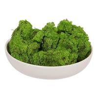 Vickerman 9 Lb Grass Green Moss Dried and Preserved Natural Botanicals