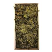 View 8-9oz Green Preserved Moss Bundle