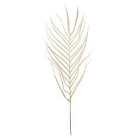Vickerman 27"-35" Dried Bleached Areca Palm Stem (8 pack)