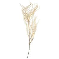 View 26" 4oz Dried Bleached Andares Fern