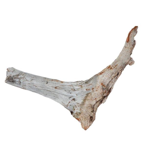 17-24" Natural Amazonian Root