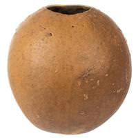 View 6"-7" Natural Preserved Bacacuia Gourd
