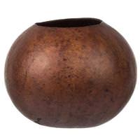Vickerman 6"-7" Brown Preserved Bacacuia Gourd