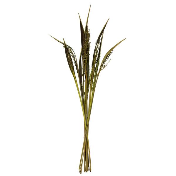 36"-40" Basil Dried Bahia Spears with Seeds (9 stems)