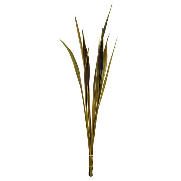 36"-40" Basil Dried Bahia Spears (9 stems)