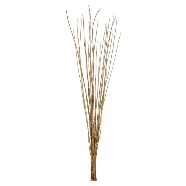36"-40" 8oz Ivory Preserved Caba Spines Bundle