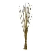 Vickerman 36"-40" 8oz Light Basil Preserved Caba Spines Bundle