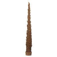 Vickerman 14"-24" Natural Preserved Caba Spindle