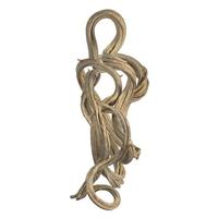 Vickerman 13"-15" Bleached Dried Vine Coil