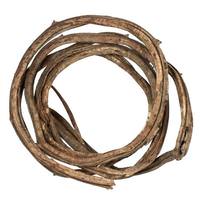 Dried and Preserved Vines