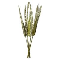 Vickerman 38"-48" Dried Basil Coco Palm Stem Bundle (6 stems in a bundle)