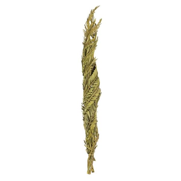 40"-48" Dried Basil Coco Palm Stem (6 stems in a bundle)