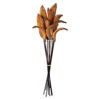 Vickerman 18"-22" Natural Preserved Estrella Stems (2 pack)