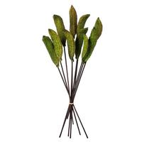 Vickerman 18"-22" Basil Preserved Estrella Stems (10 pack)