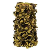 View 10"-12" Basil Preserved Seed Pod