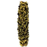 View 26"-28" Basil Preserved Seed Pod