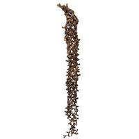 View 36"-44" Natural Dried Curled Ladder Branch (5 pack)