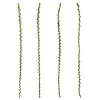Vickerman 40"-48" Spring Green Preserved Ladder Branches (7 branches)