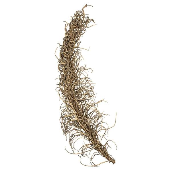 36"-40" Natural Dried Medusa Branch