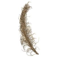 View 36"-40" Natural Dried Medusa Branch