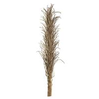 Vickerman 24"-35" Natural Dried Medusa Branch